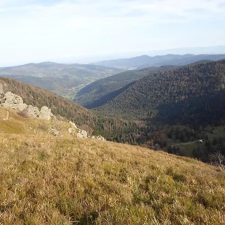 Kemping Les Pinasses 3*