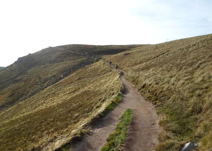 Les Pinasses Kemp La Chapelle (Lorraine)