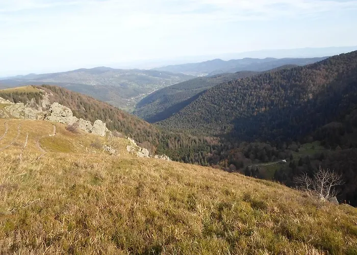 Kemp Les Pinasses 3*